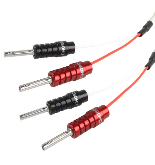 Chord Company RumourX - Komplet konfekcjonowanych kabli głośnikowych