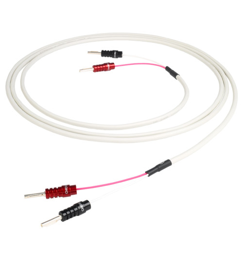 Chord Company RumourX - Komplet konfekcjonowanych kabli głośnikowych