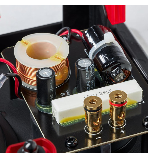 MartinLogan IW6 - Głośnik instalacyjny ścienny