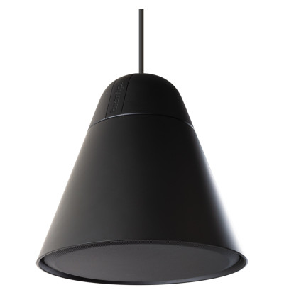 Biamp Desono P30DT - Wiszący głośnik sufitowy