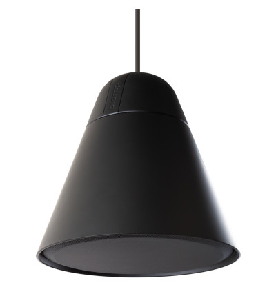 Biamp Desono P60DT - Wiszący głośnik sufitowy