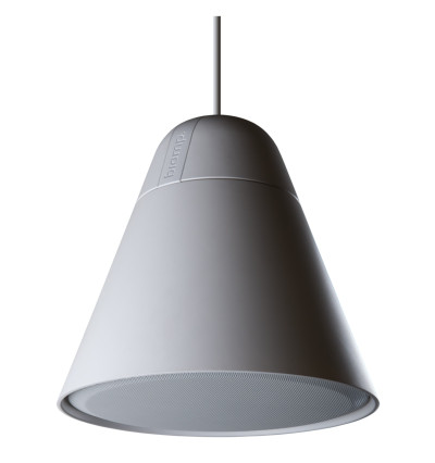 Biamp Desono P60DT - Wiszący głośnik sufitowy