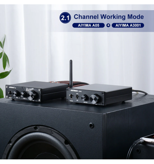 AIYIMA A3001 – kompaktowy wzmacniacz do subwoofera o mocy 300W