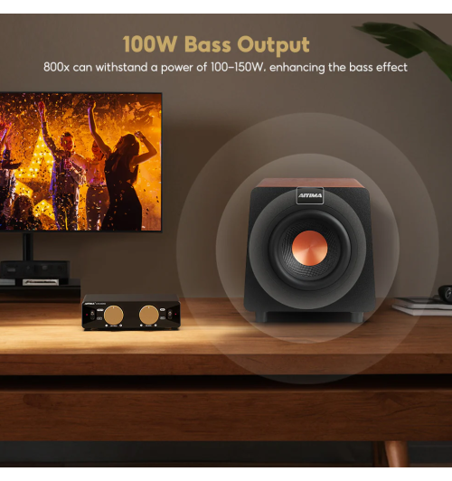 AIYIMA 800X – Potężny subwoofer o imponującym basie i stabilnej konstrukcji