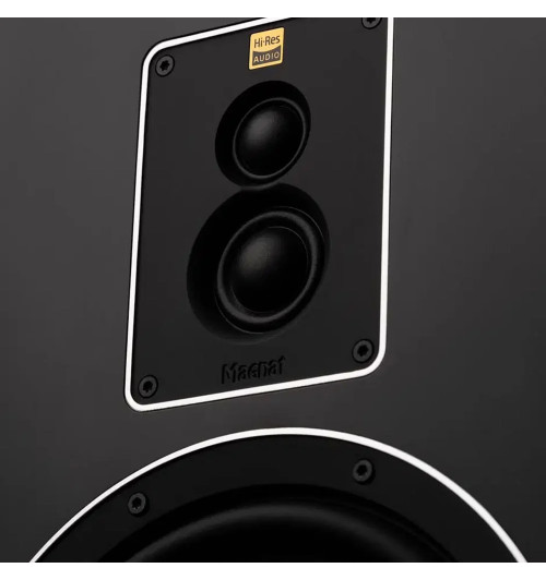 Magnat Signature 809 - Kolumny podłogowe (para)