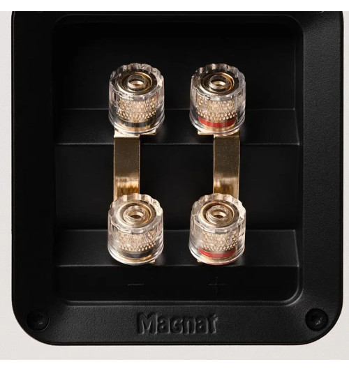 Magnat Signature 809 - Kolumny podłogowe (para)