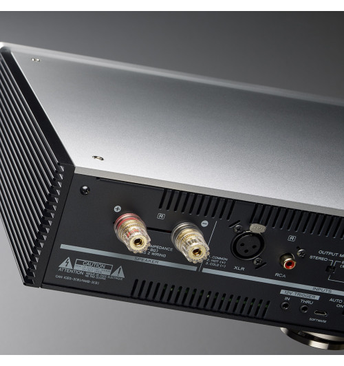 TEAC AP-701 - Wzmacniacz / końcówka mocy dual mono