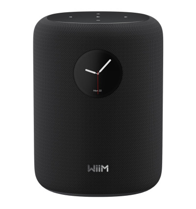 WiiM Sound - Inteligentny głośnik bezprzewodowy Wi-Fi, Bluetooth 5.3 z AI RoomFit