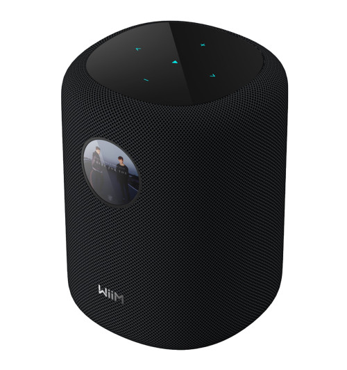 WiiM Sound - Inteligentny głośnik bezprzewodowy Wi-Fi, Bluetooth 5.3 z AI RoomFit