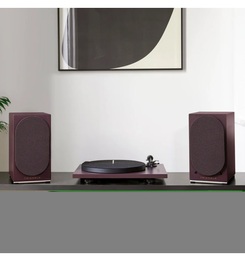 Triangle AIO TWIN - Aktywne kolumny podstawkowe z Bluetooth, Wi-Fi