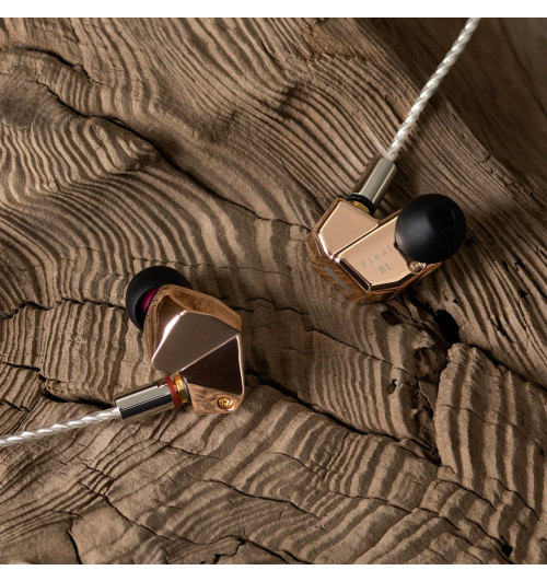 Final Audio B1 - Słuchawki dokanałowe IEM z wymiennym przewodem MMCX