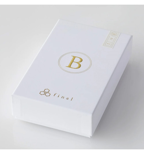 Final Audio B1 - Słuchawki dokanałowe IEM z wymiennym przewodem MMCX