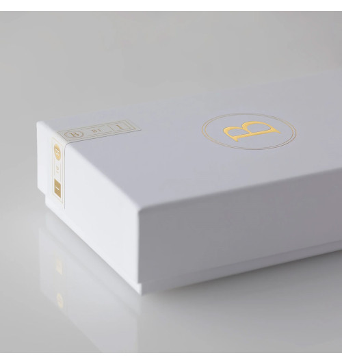 Final Audio B1 - Słuchawki dokanałowe IEM z wymiennym przewodem MMCX