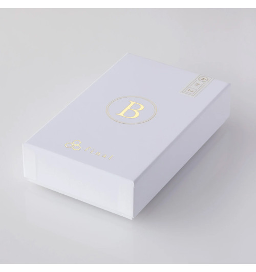 Final Audio B2 - Słuchawki dokanałowe IEM z wymiennym przewodem MMCX