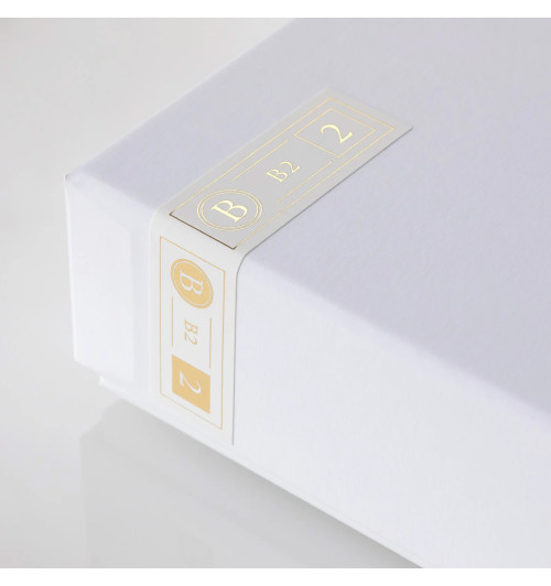 Final Audio B2 - Słuchawki dokanałowe IEM z wymiennym przewodem MMCX