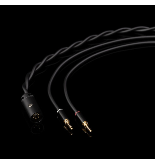 Final Audio D8000 DC - Planarne słuchawki wokółuszne Hi-End