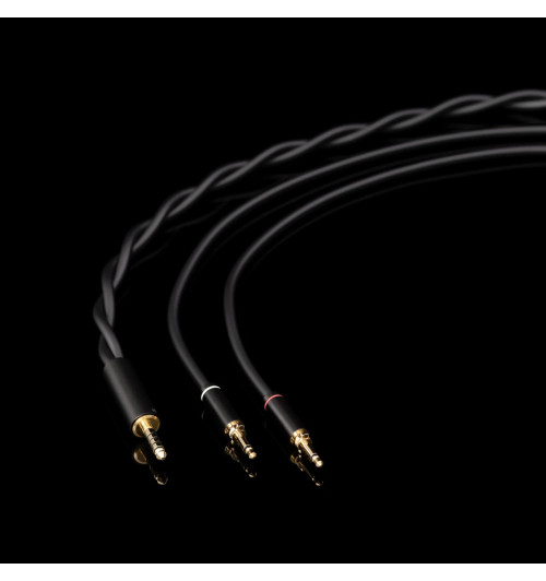 Final Audio D8000 DC - Planarne słuchawki wokółuszne Hi-End