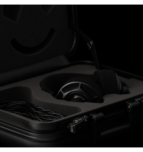 Final Audio D8000 DC - Planarne słuchawki wokółuszne Hi-End