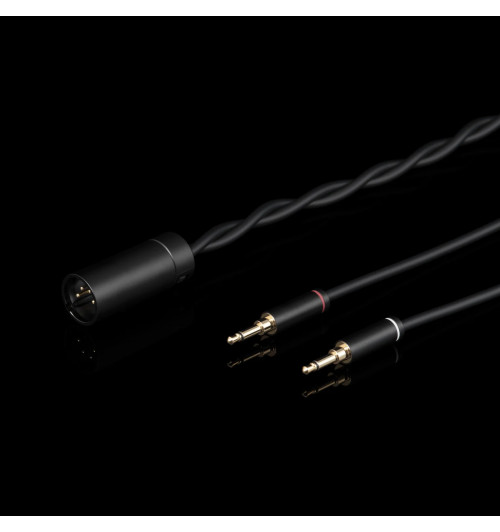 Final Audio DX6000 - Otwarte słuchawki wokółuszne