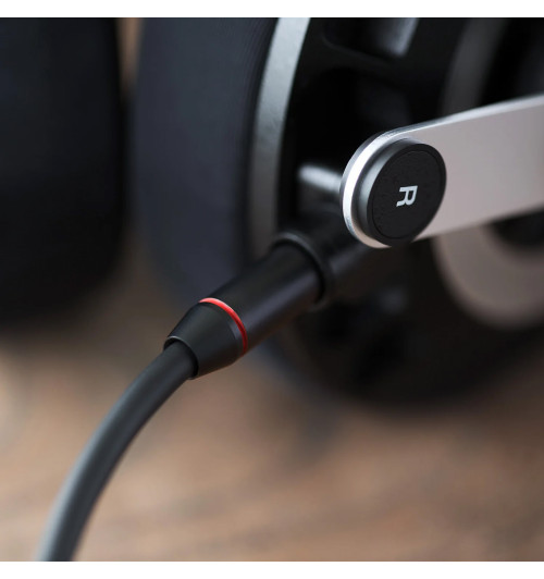 Final Audio D8000 - Planarne słuchawki wokółuszne Hi-End