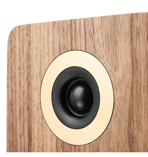 Argon Audio Forte A55 WiFi - Aktywne kolumny podłogowe z Bluetooth 4.2 i Wi-Fi