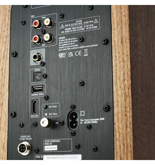 Argon Audio Forte A55 WiFi - Aktywne kolumny podłogowe z Bluetooth 4.2 i Wi-Fi