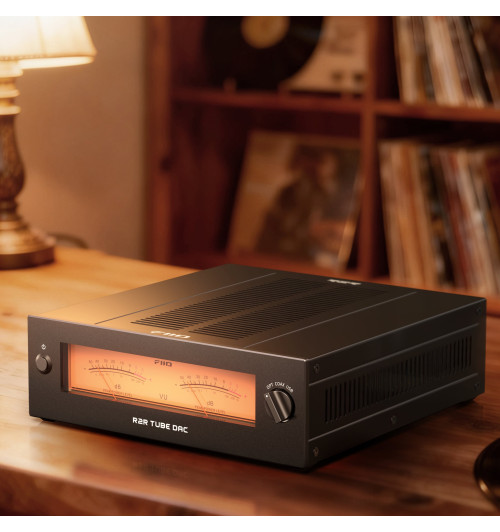 FiiO Warmer R2R - Przetwornik cyfrowo-analogowy DAC z buforem lampowym