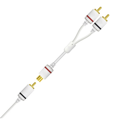 Argon Audio Forte Subwoofer Connect Kit - Kabel subwooferowy RCA z adapterem Y-Split