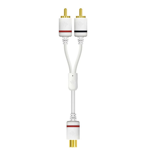 Argon Audio Forte Subwoofer Connect Kit - Kabel subwooferowy RCA z adapterem Y-Split