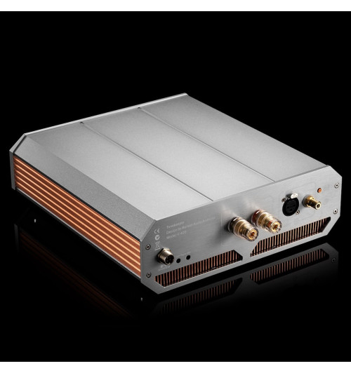 Burson Audio Timekeeper Voyager - Zestaw dwóch wzmacniaczy mocy typu monoblok klasy High-End