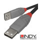 Lindy 36700 przedłużacz USB A 2.0 Anthra Line - 0.2 m