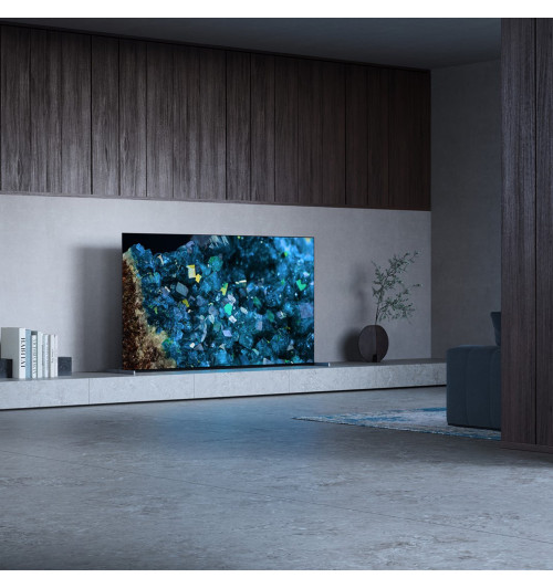 Sony FWD-55A80L Bravia XR - Profesjonalny wyświetlacz / telewizor 55" 4K HDR z Google TV