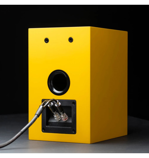 Pro-Ject Speaker Box 5 E Carbon - Kolumny podstawkowe stereo Hi-Fi (para)