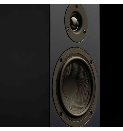 Pro-Ject Speaker Box 5 S2 - Kolumny podstawkowe stereo Hi-Fi (para)