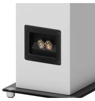 Pro-Ject Speaker Box 10 E Carbon - Kolumny podłogowe Hi-Fi (para)