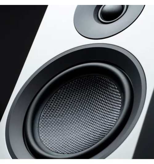 Pro-Ject Speaker Box 10 E Carbon - Kolumny podłogowe Hi-Fi (para)