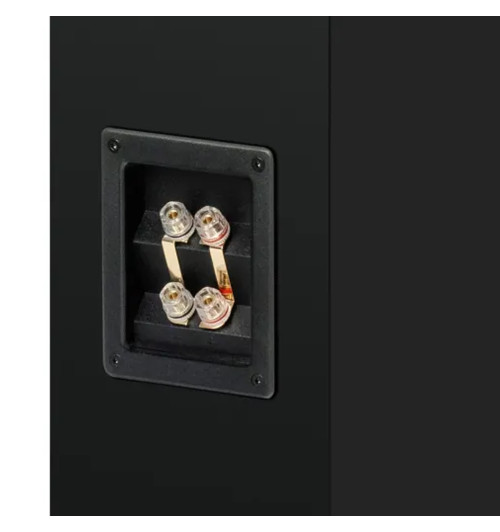 Pro-Ject Speaker Box 12 E Carbon - Kolumny podłogowe Hi-Fi (para)