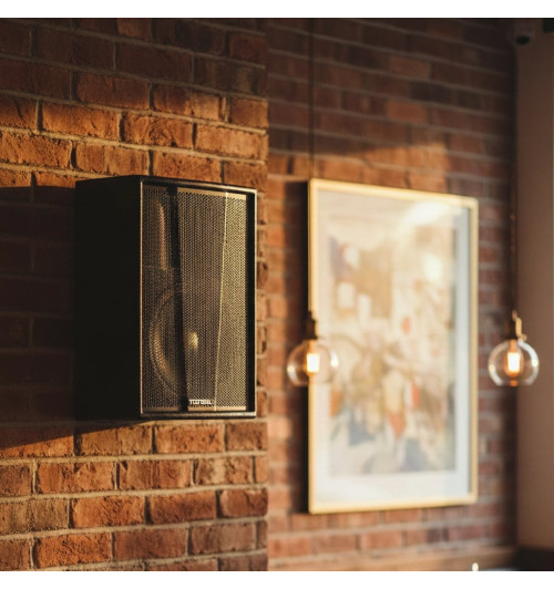 Tonsil ZP6 - Kolumna głośnikowa naścienna 8” 100W RMS