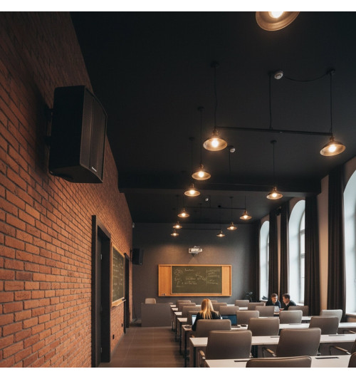 Tonsil ZP6 - Kolumna głośnikowa naścienna 8” 100W RMS