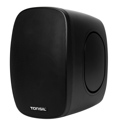 Tonsil ZGS 35S - Głośnik naścienny zewnętrzny 30W 100V IP66
