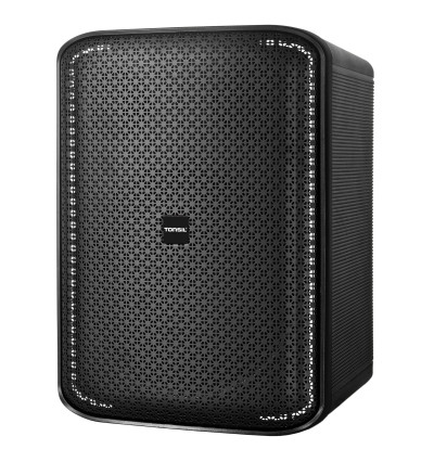 Tonsil ZP16DSP - Aktywny przenośny głośnik imprezowy z Bluetooth 5.3 RGB USB-C MIC