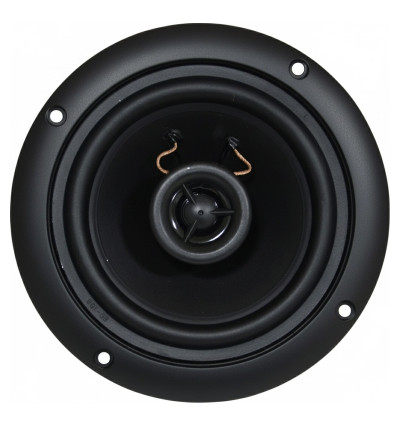 Tonsil ZGSU 16/2-DR Czarny - Wodoodporny głośnik sufitowy