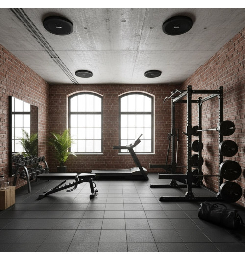 Tonsil ZGSU 16/2-DR Czarny - Wodoodporny głośnik sufitowy