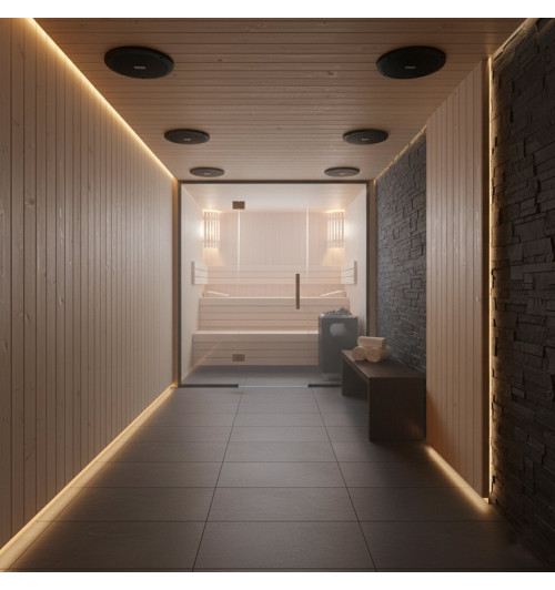 Tonsil ZGSU 16/2-DR Czarny - Wodoodporny głośnik sufitowy