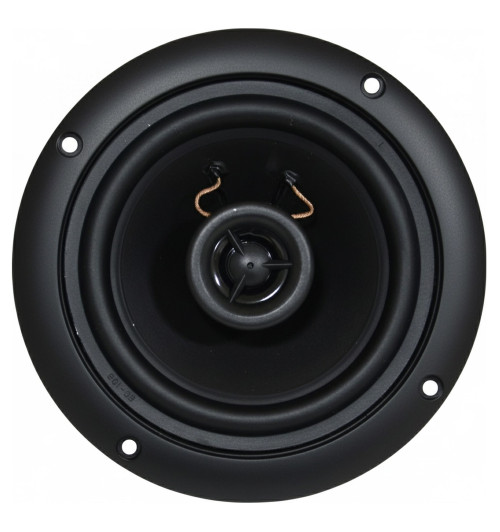 Tonsil ZGSU 13/2-DR Czarny - Wodoodporny głośnik sufitowy