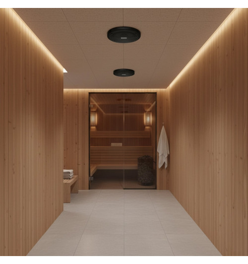 Tonsil ZGSU 13/2-DR Czarny - Wodoodporny głośnik sufitowy