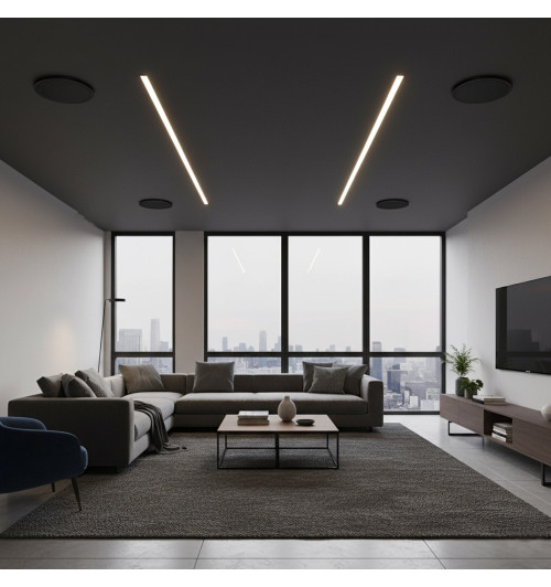 Tonsil ZGSU 13/2-DR Czarny - Wodoodporny głośnik sufitowy