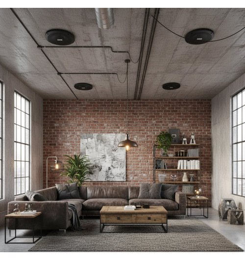 Tonsil ZGSU 13/2-DR Czarny - Wodoodporny głośnik sufitowy