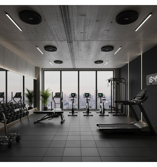 Tonsil ZGSU 13/2-DR Czarny - Wodoodporny głośnik sufitowy