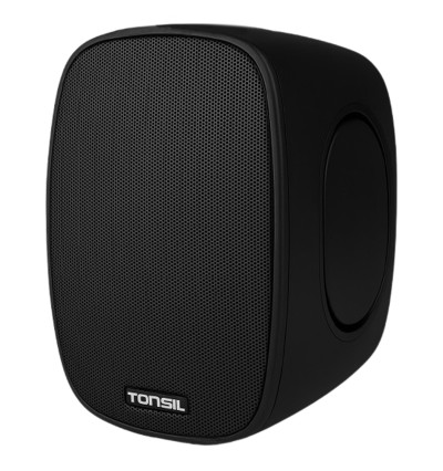 Tonsil ZGS 60W - Aktywny głośnik naścienny z Wi-Fi, Bluetooth, USB DAC i DLNA